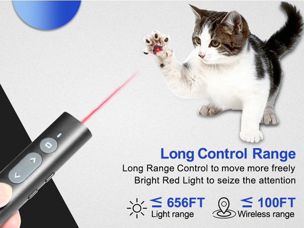 Presentation Clicker