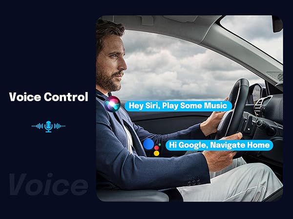 Voice Control