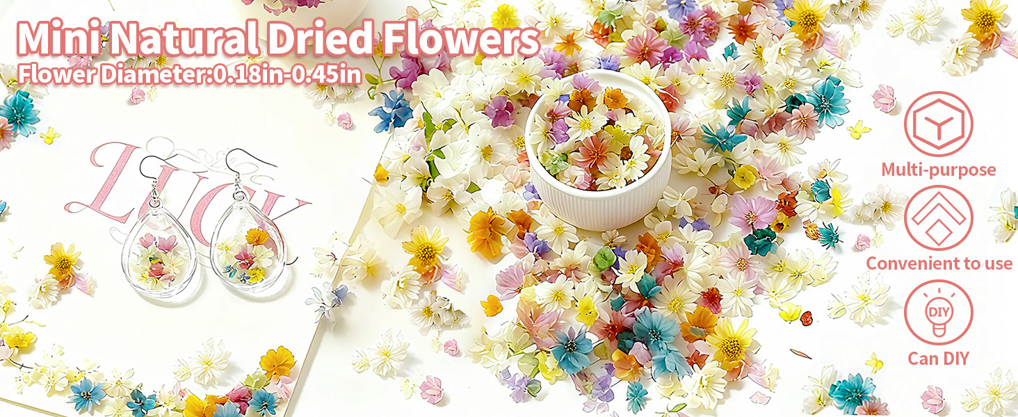 Mini Dried Flowers for Resin