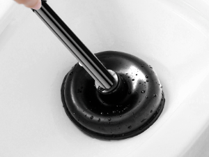 Toilet Brush and Plunger Set