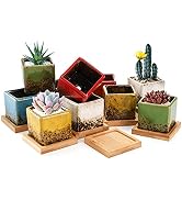 TOPZEA Set of 10 Succulent Planter Pots, 2 Inch Square Ceramic Glazed Cactus Plant Pot Tiny Flowe...