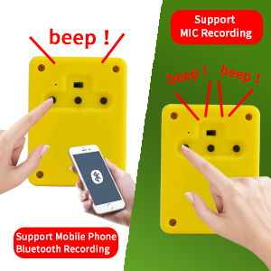 Bluetooth and MIC Recording Music Module