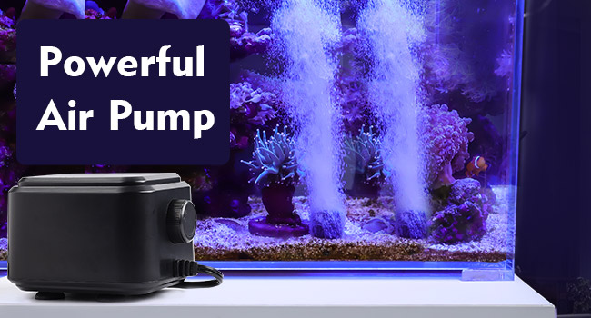 Aquarium Air Pump
