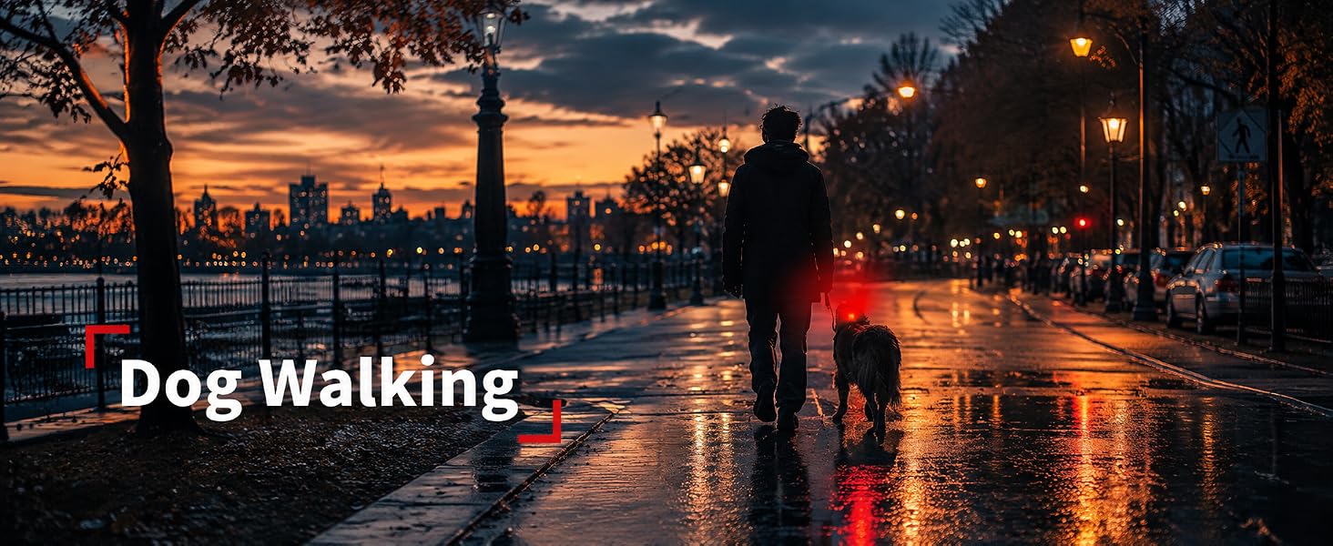 Dog Walking