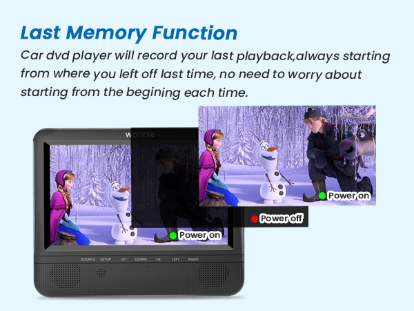 dual car dvd player