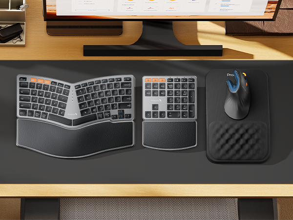 mouse