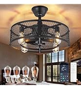 Depuley Caged Ceiling Fan with Light: 20" Black Small Fandelier Ceiling Fan with Remote - Farmhou...