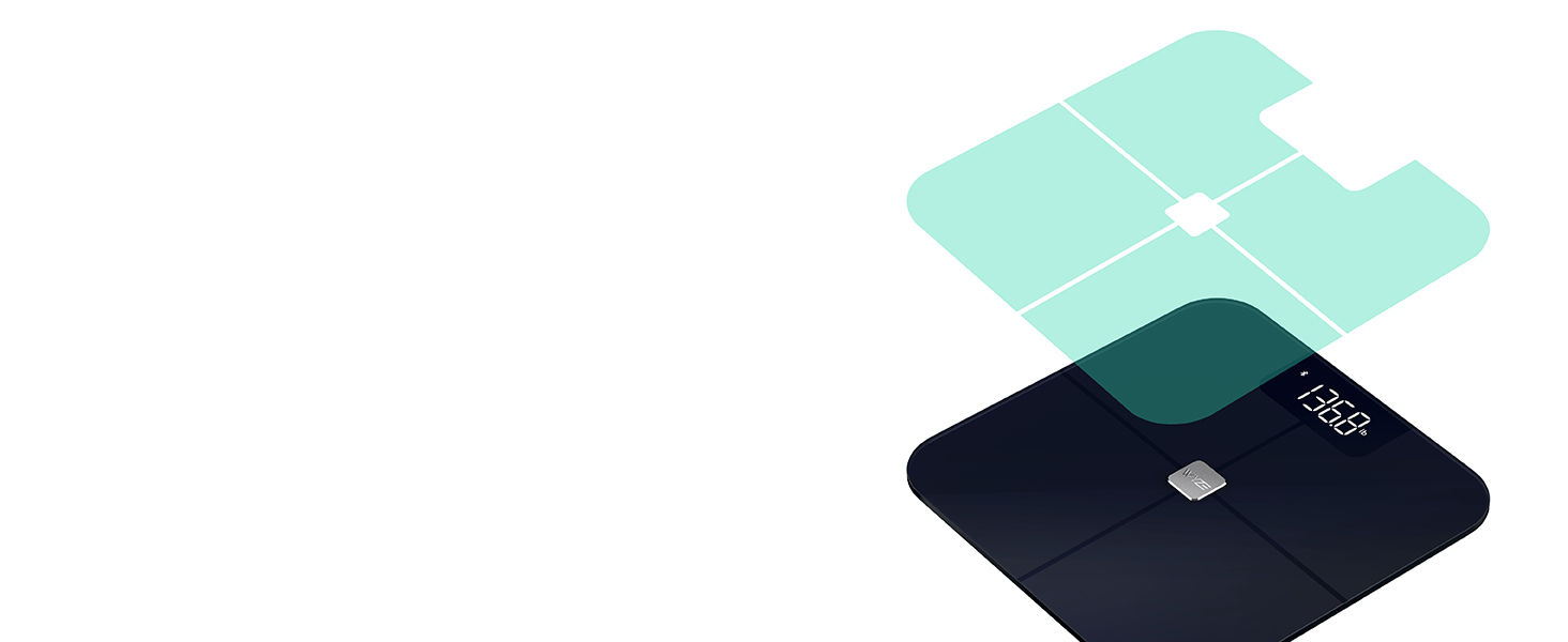 Wyze Scale for body weight