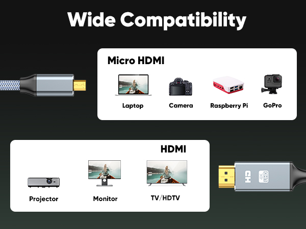 Micro HDMI to HDMI