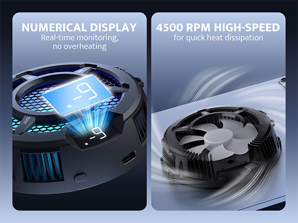 NUMERICAL DISPLAY