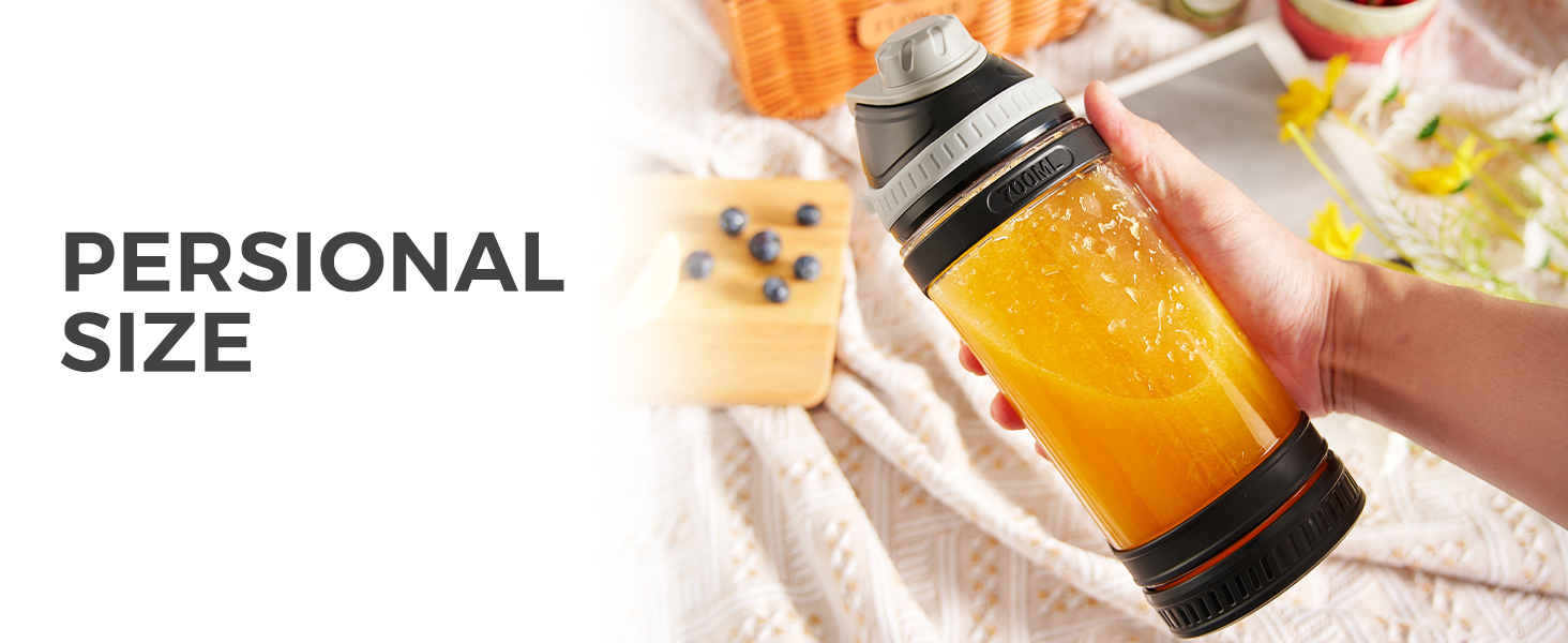 Portable blender