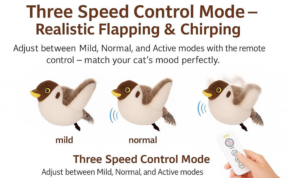 Flying Bird Cat Toy
