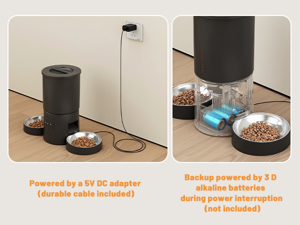 wifi smart feeder