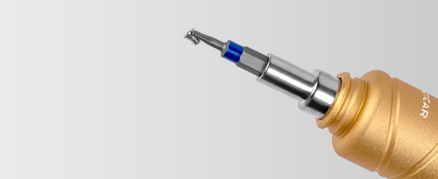 MAGNETIC DESIGN ON BOTH HEAD &amp; BITS