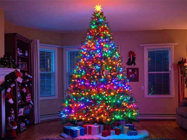remote control fairy lights