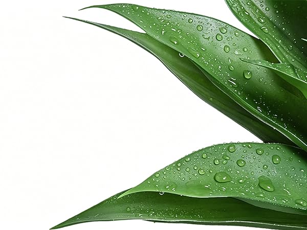Artificial Agave Plant for Outdoors