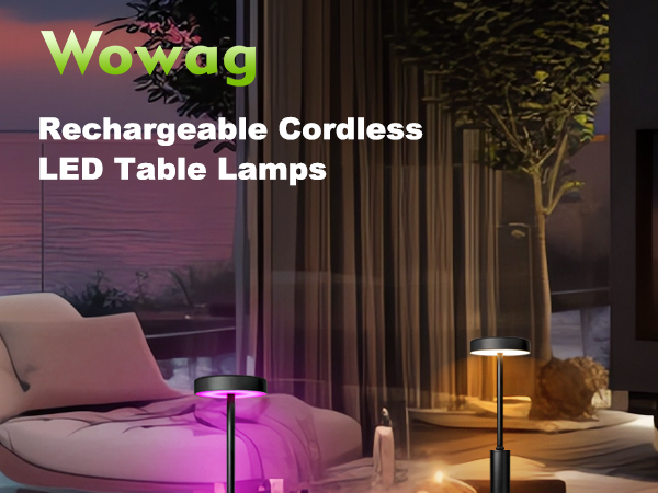 Rechargeable Cordless Table Lamps