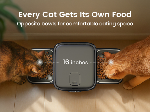 oneisall automatic cat feeder for 2 cats