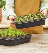 Seed Starting Tray