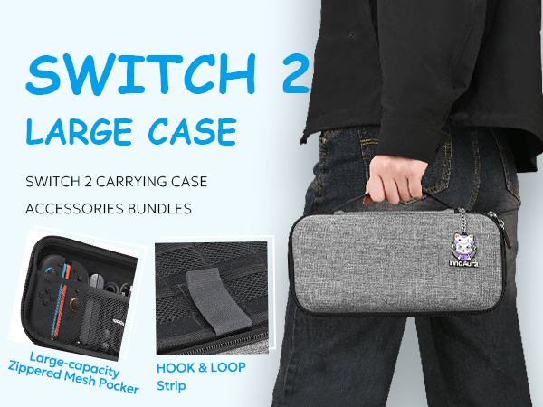 switch 2 case gray