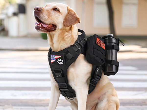 dog harness