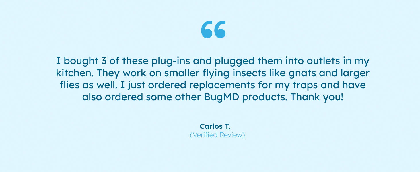 use nats and flying insects traps insect safer vezo wall getting rid of mosquitoes indoors zeebo