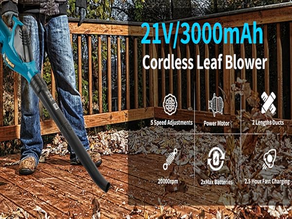 Leaf Blower Cordless