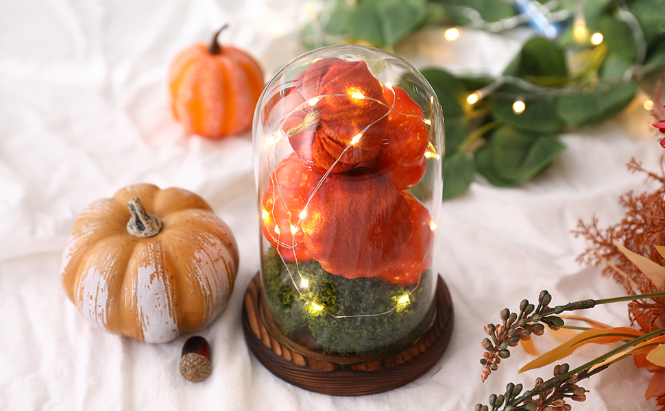 Light Up Pumpkin in Glass Cloche