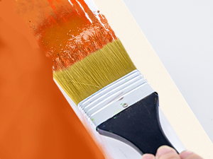 Paint the Wall