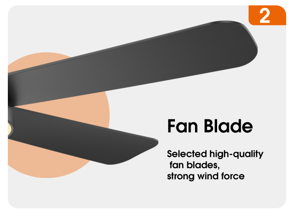 black ceiling fan with 5 fan blades,