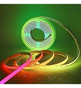 MALIIGAZA Addressable COB LED Strip, IP68 Waterproof 24V 16.4ft WS2811 RGB-IC Dream Rainbow Color...