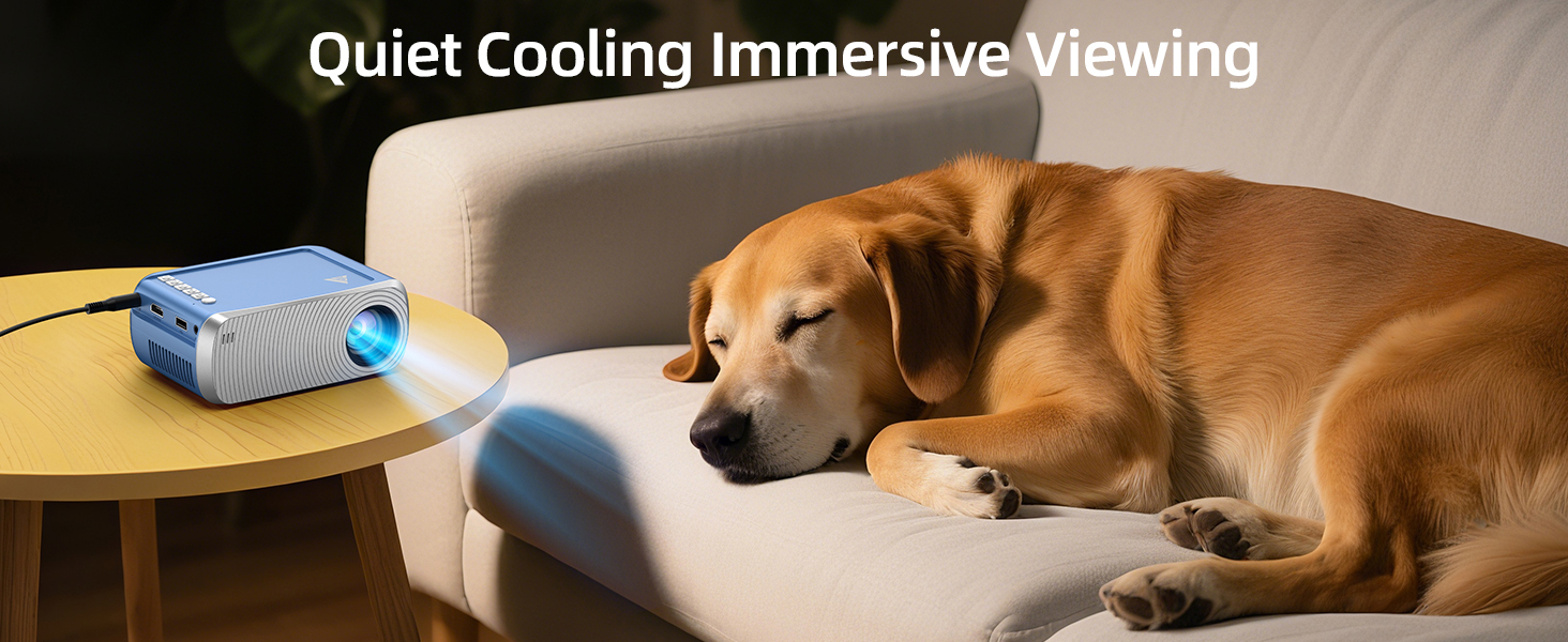 ceiling projector for bedroom