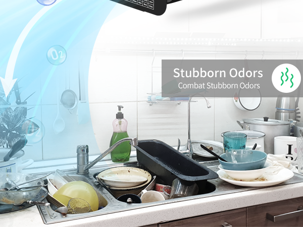 Ozone Generator for home