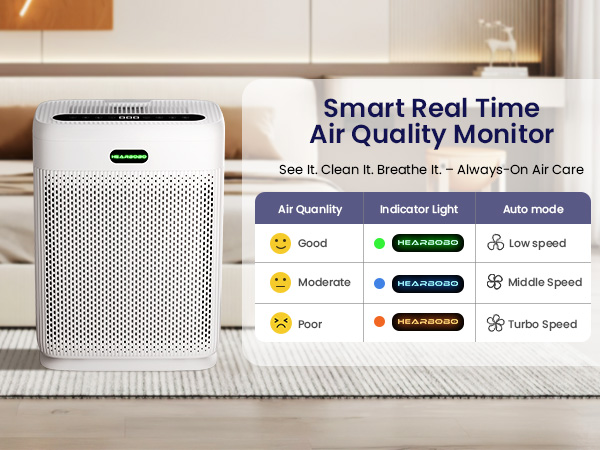 home air purifiers
