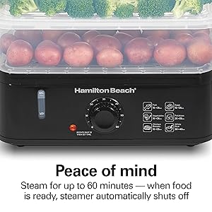 food steamer
