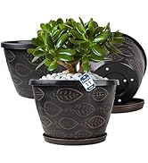 Nooulap Plastic-Plant-Flower-Planters-10.5 Inch Plant Pots, 3 Pack Flower Pots with Drainage Hole...