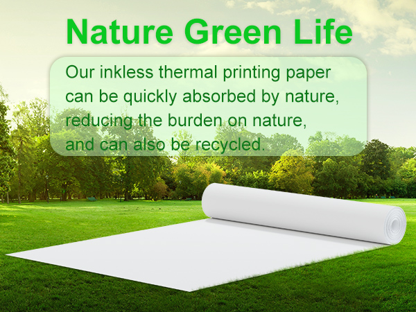 Thermal Receipt Paper