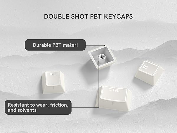 DOUBLE SHOT PBT KEYCAPS