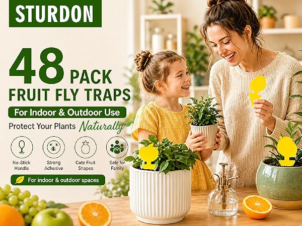 Gnat Trap