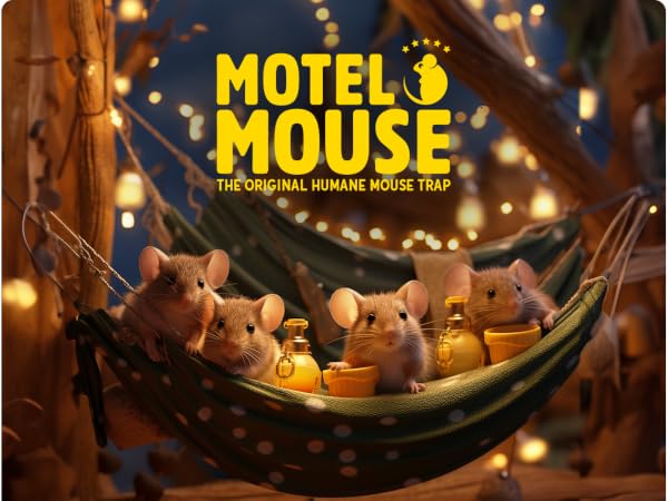 Humane Mouse Trap