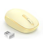 TECKNET Wireless Mouse, 2.4G Quiet Computer Mouse with USB Receiver, 4 Buttons Portable Cordless ...