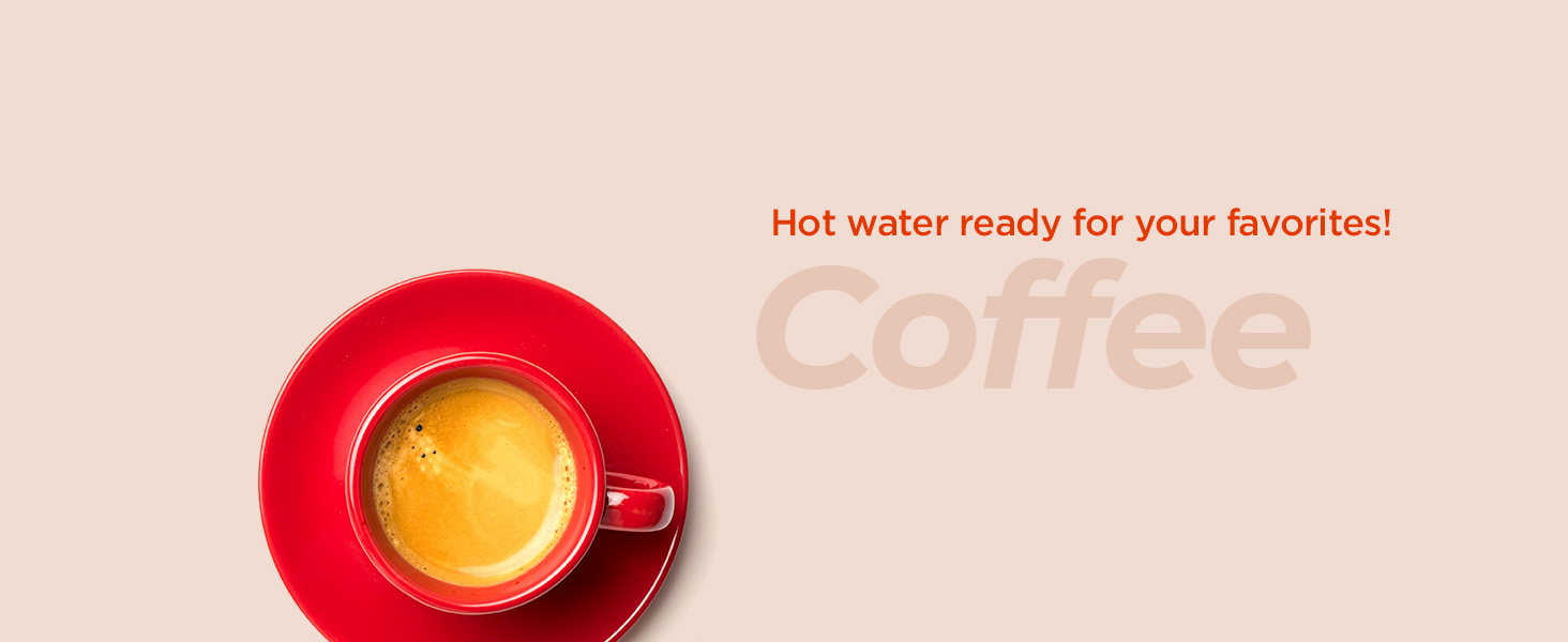 Electric tea kettle electric kettles for boiling water hot water kettle electric water heater