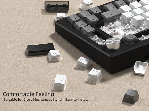 PBT Shine Through Keycaps for mechanical keyboard, Pudding Keycaps 60% 75% 100% Keyboard