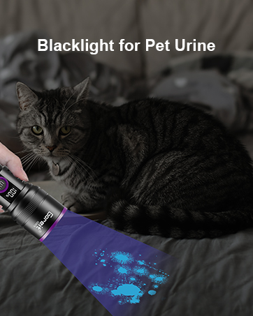 blacklight for pet urine