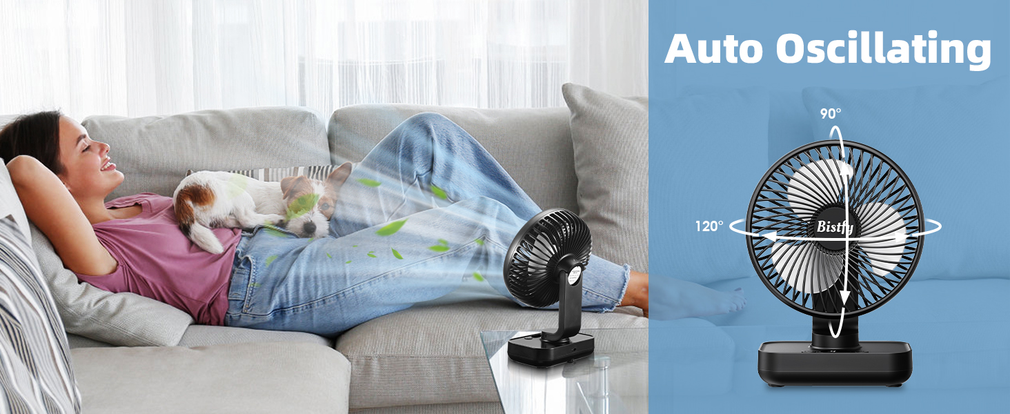 oscillating fan