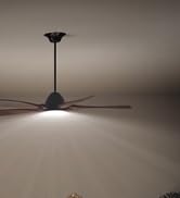 fan and light switch combo