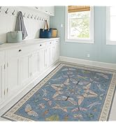 Washable 4x6 Small Rug for Living Room, Area Rug for Kitchen, Bedside, Large Entryway Indoor - St...