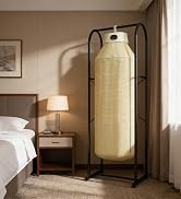 Fieldspark Portable Clothes Dryer, 2-in-1 Hanging &amp; Desktop Drying Machine with Remote, 8H Timer,...