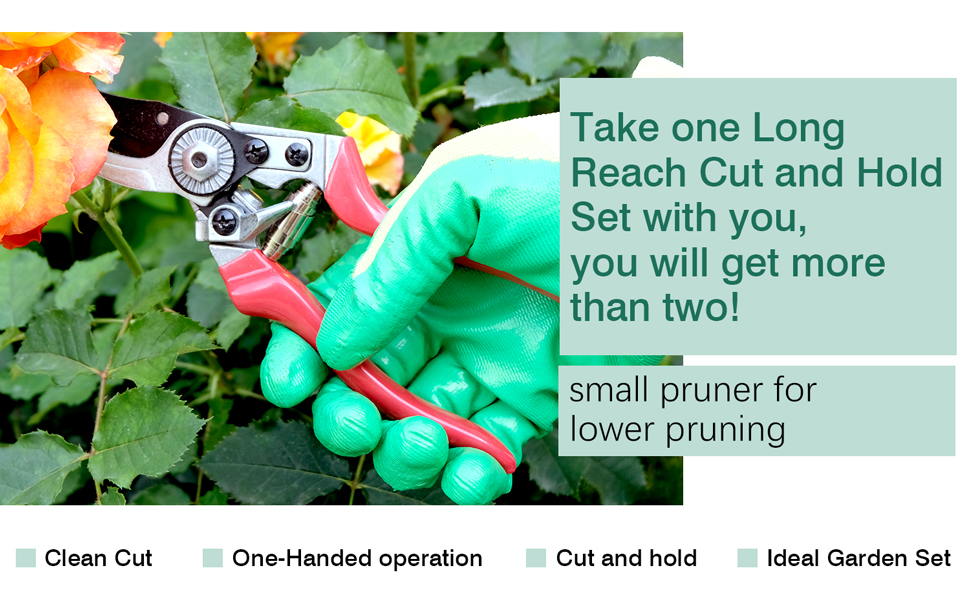 cut and hold pruner