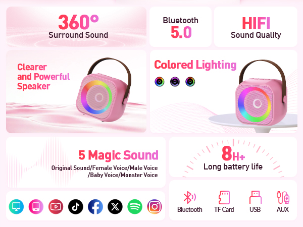 Multifunctional Karaoke Machine